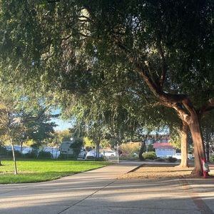 Meet your Posher, ali